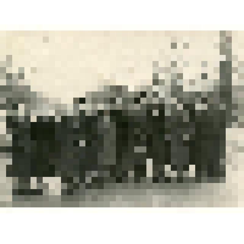 Фотография. Гордобудская Н.И. с учениками 9 класса школы № 18