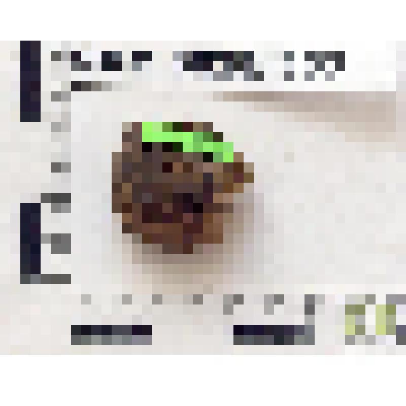 Буса