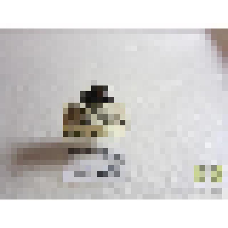 Карапузик двупятнистый (Margarinotus bipustulatus Schrk.)