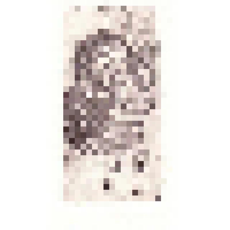Экслибрис "Ex Libris Е.К.З."