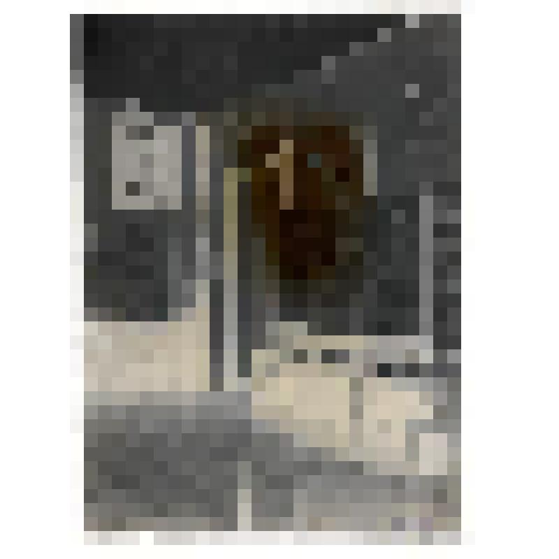 Выставка «20 лет РККА» в Государственном литературном музее