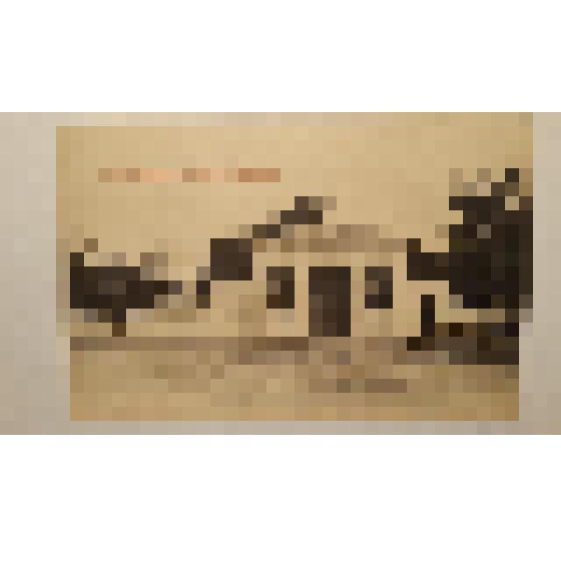 Украина, г. Одесса. Большой фонтан. Успенский монастырь. Основан в 1824 г. Ограда и Святые ворота. Фототипия Шерер, Набгольц и Ко, Москва