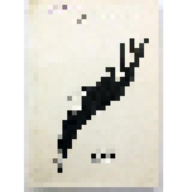 Сборник. Памятники истории и культуры Пермской области. Т. I: (Материалы к археологической карте Пермской области) / Пермс. обл. НПЦ по ОиИПИиК; Камск. археолог. экспед. ПермГУ; ред. Р.Ф. Вильданов. - Пермь: Арабеск, 1996