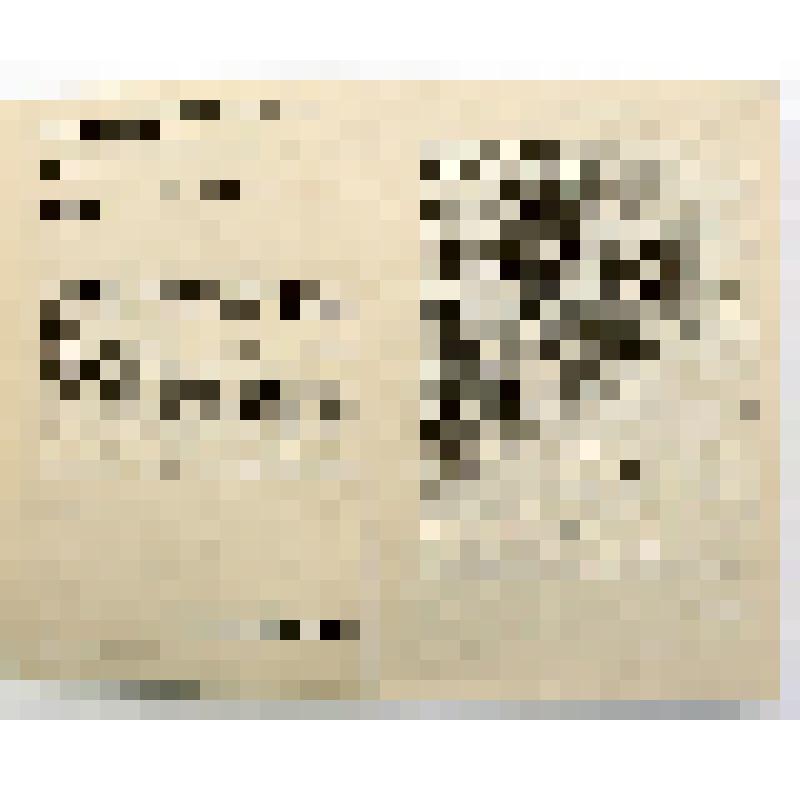 Сборник. Памятники истории и культуры Пермской области. Т. I: (Материалы к археологической карте Пермской области) / Пермс. обл. НПЦ по ОиИПИиК; Камск. археолог. экспед. ПермГУ; ред. Р.Ф. Вильданов. - Пермь: Арабеск, 1996