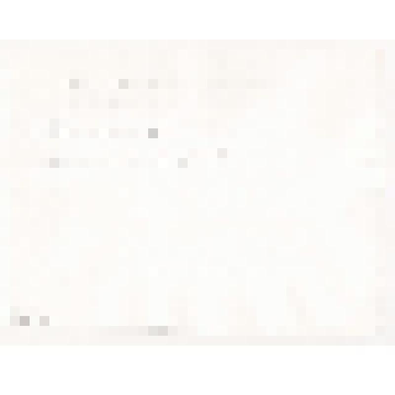 Фотография. Ансамбль бального танца «Звездопад»