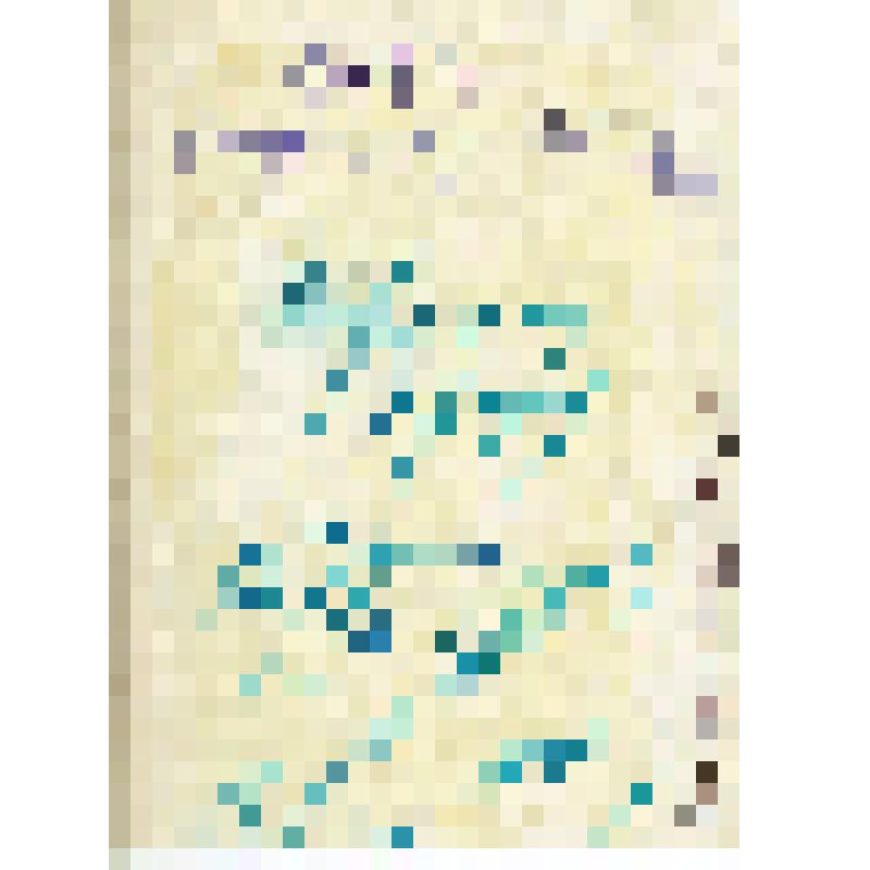 Фотопортрет: Сюрин В.Н. – директор ВГНКИ. Снимок погрудный