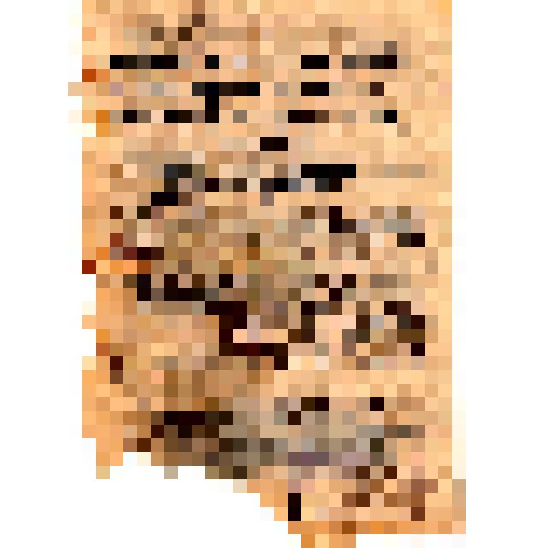 Командование партизанских отрядов. Уходите в леса, прячьтесь где только возможно, спасайтесь от фашистской каторги!. Граждане!