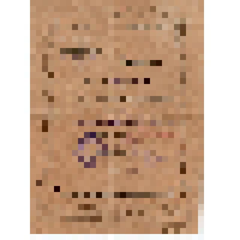 Свидетельство N646 Грудева М.В. об окончании курсов по повышению квалификации при металлургическом объединении "Сталь" (завод им. Петровского) с фото (на украинском яз.)