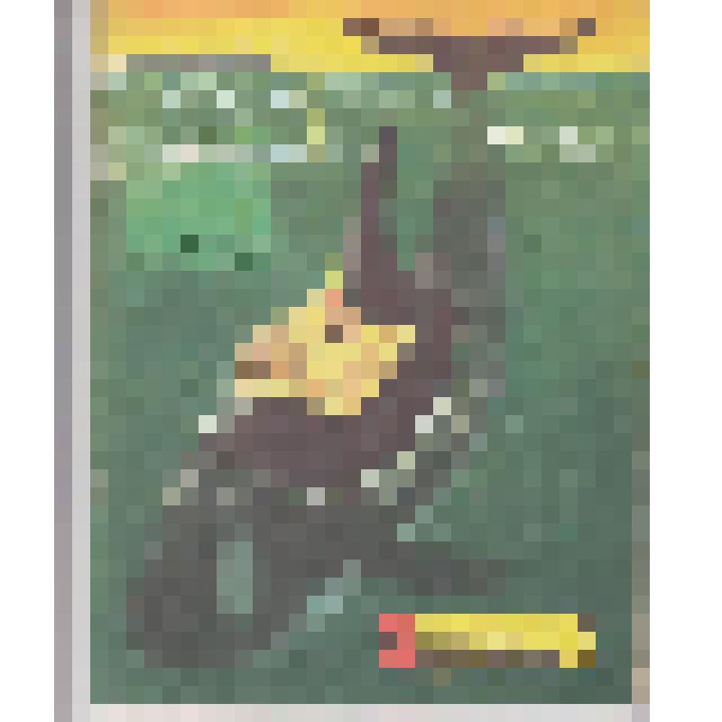 Журнал. Техника - молодежи. №4,1979