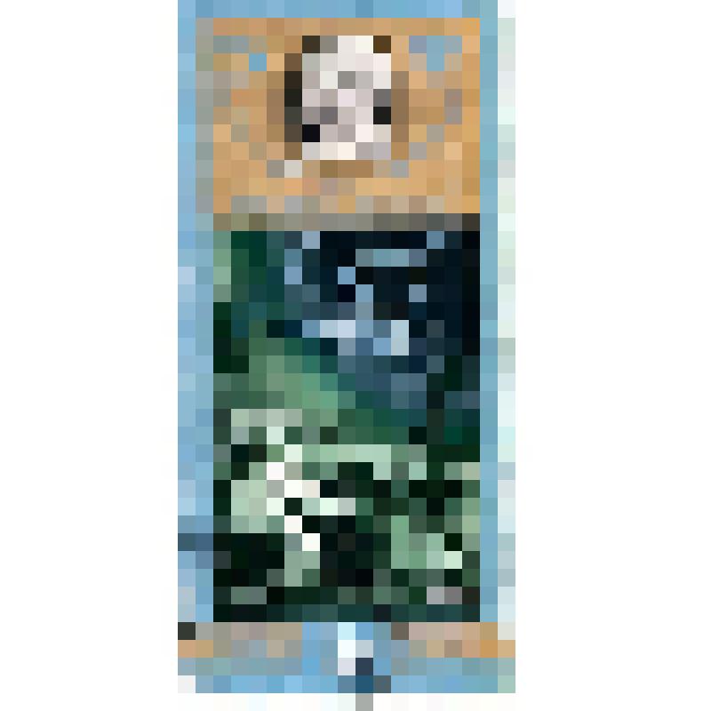 Марка почтовая. Почта СССР, 1980 год, 15 коп. Серия "20-летие Центра подготовки космонавтов им. Ю. А. Гагарина"