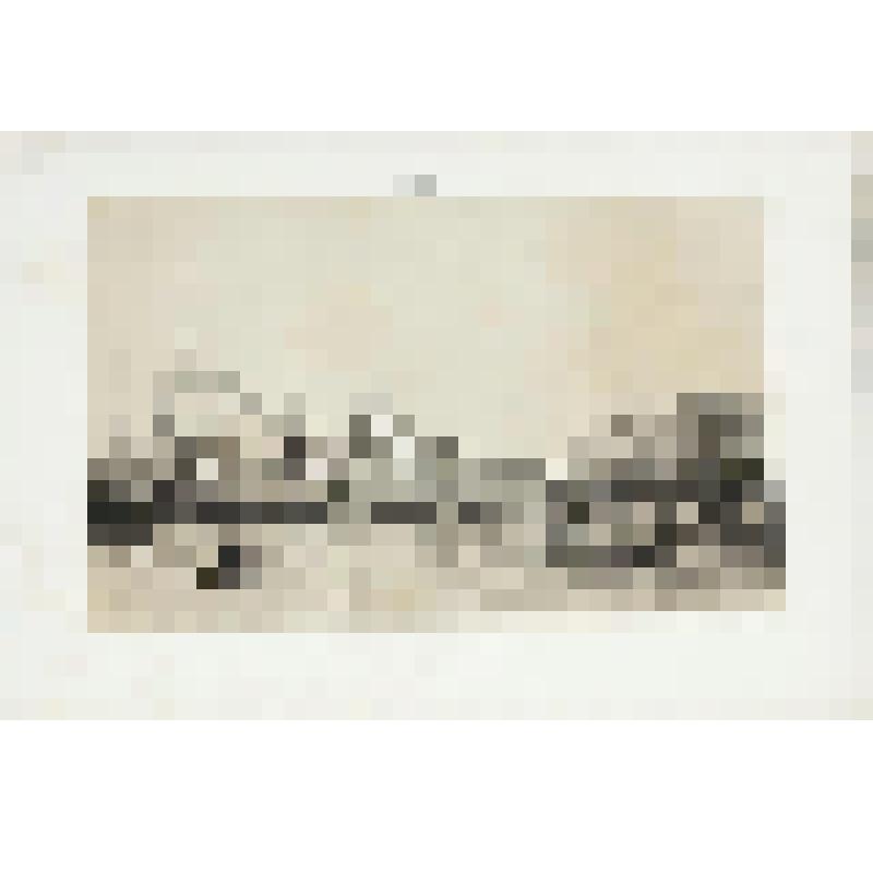 Литография. "Санкт-Петербург. Исаакиевский собор и Сенатский дворец. Вид с Невы."