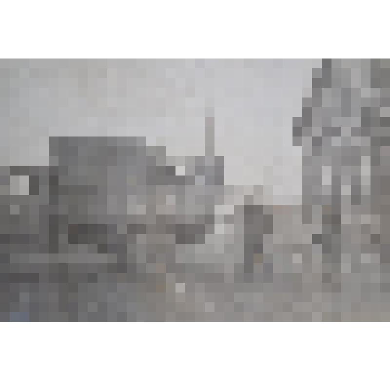 Фотография. «Мы в Ульяновской области». Из набора фотографий «По следам Ленина»