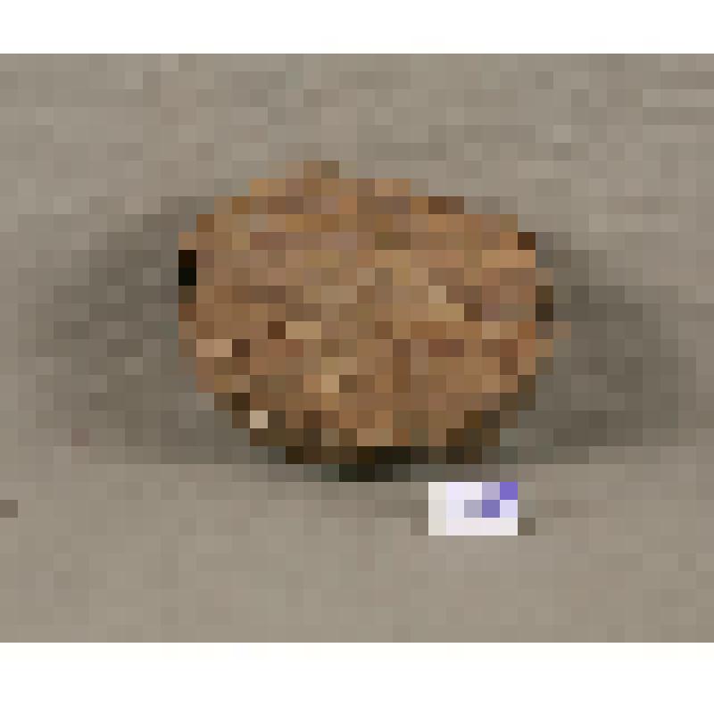 Крышка от пестеря