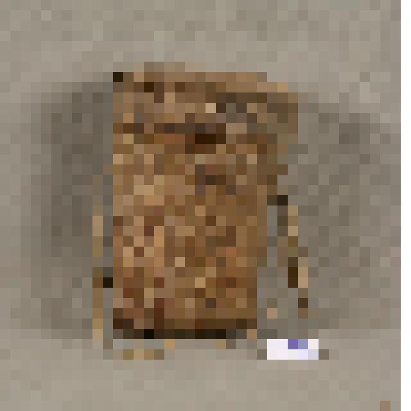 Крышка от пестеря