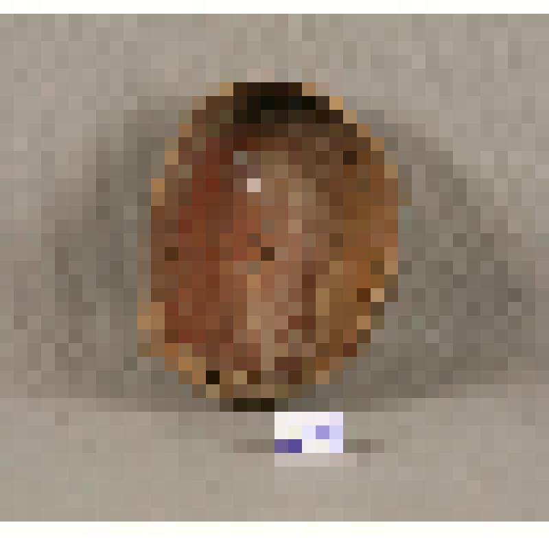 Крышка от пестеря