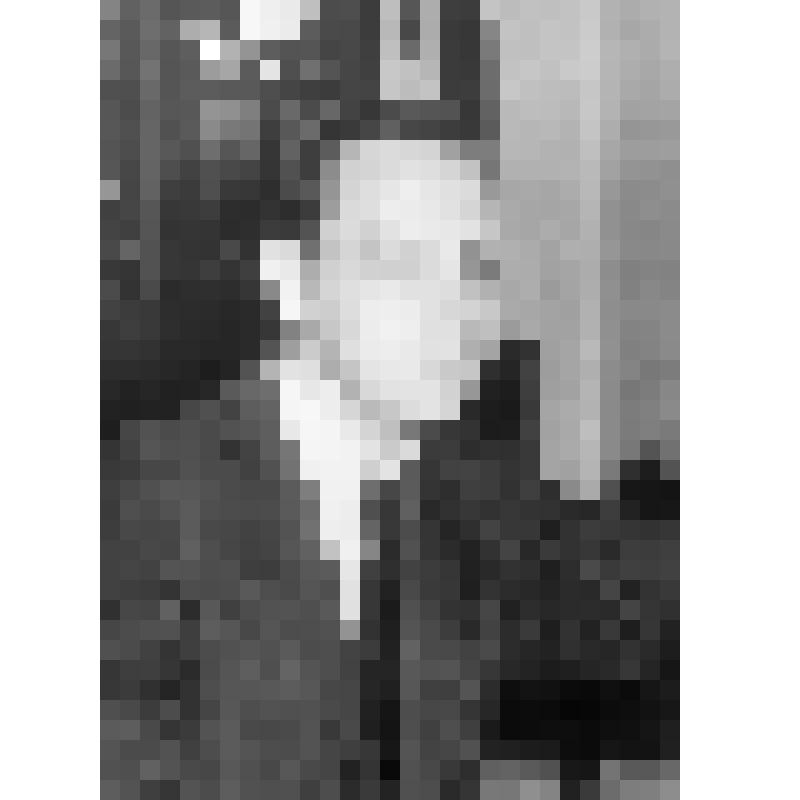 Негатив. Бэновец Д. - американский пианист