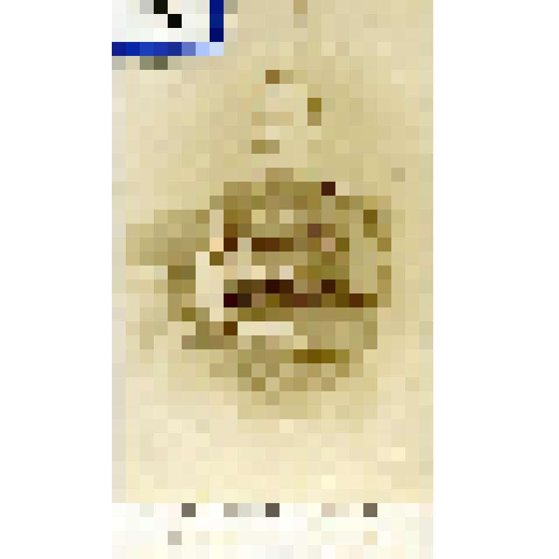 Фотография черно-белая. Севастьянов Павел Михайлович