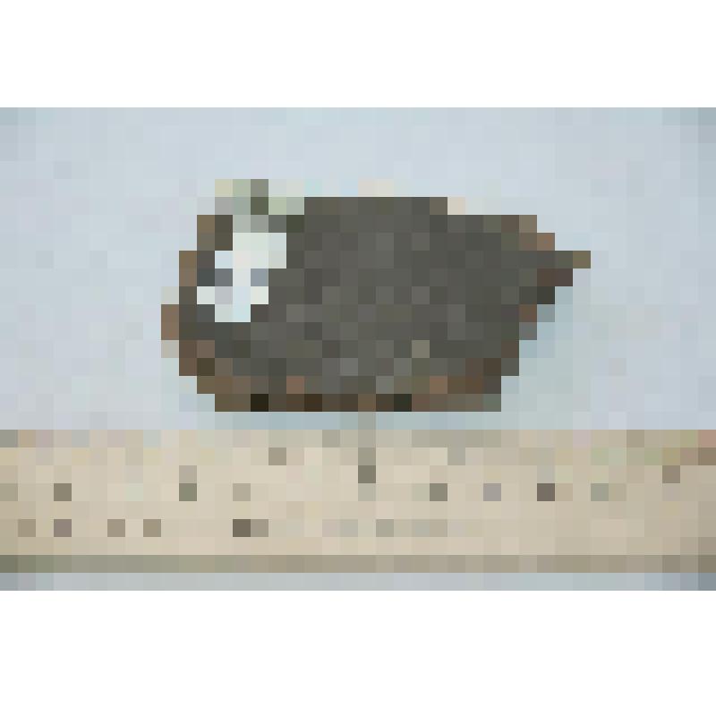 Фрагмент стенки сосуда