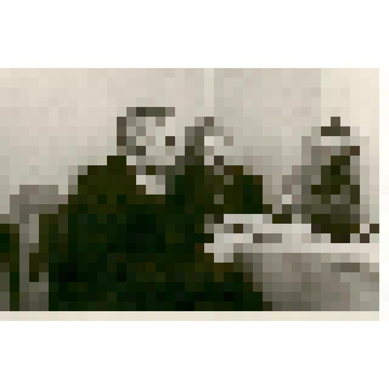 Фотография. Хохлов С.С., зав.кафедрой генетики и дарвинизма СГУ, с аспиранткой Белоусовой Н.И. из коллекции материалов Хохлова Сергея Спиридоновича (1910-1974), саратовского ученого-генетика, доктора биологических наук, профессора, зав.кафедрой генетики и