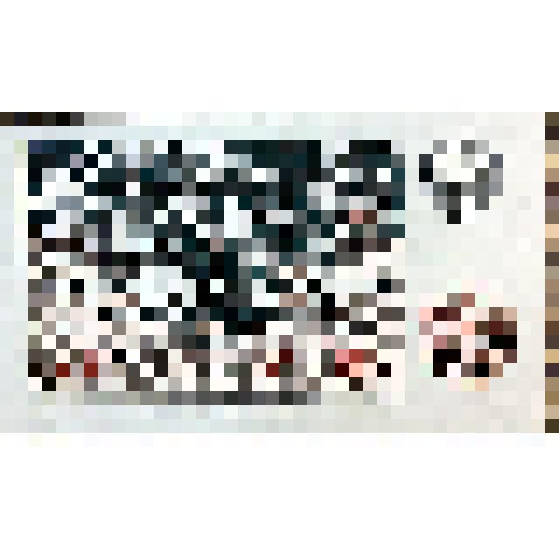 Знак бумажный денежный. Билет № 133 серия 51010 денежно-вещевой лотереи. Новогодний выпуск, из коллекции билетов лотерей: денежно-вещевой, ДОСААФ, Красного креста и Красного полумесяца СССР, Всесоюзной художественной, благотворительной "Храмы России", Дет