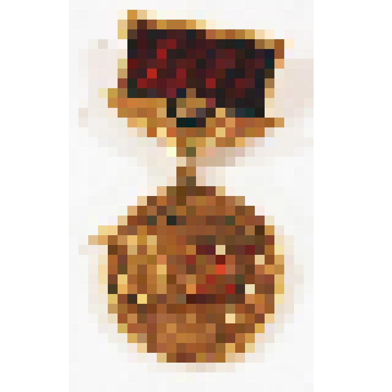 Значок нагрудный памятный к 20-летию Саратовского авиационного училища летчиков Теслина В.С., старшего преподавателя СВВАУЛ, полковника