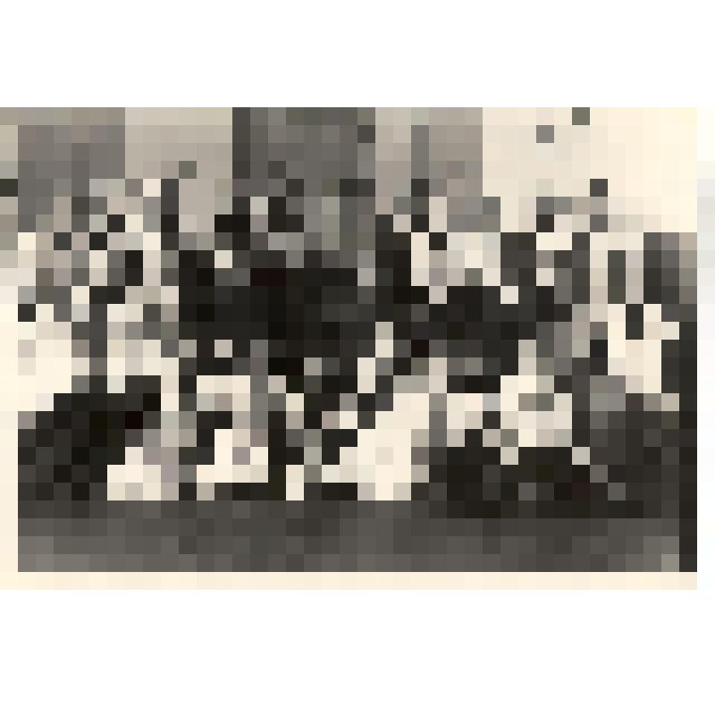 Фотография. 7 б кл. СШ № 2 с классным руководителем Петровой З.А. и группой учителей