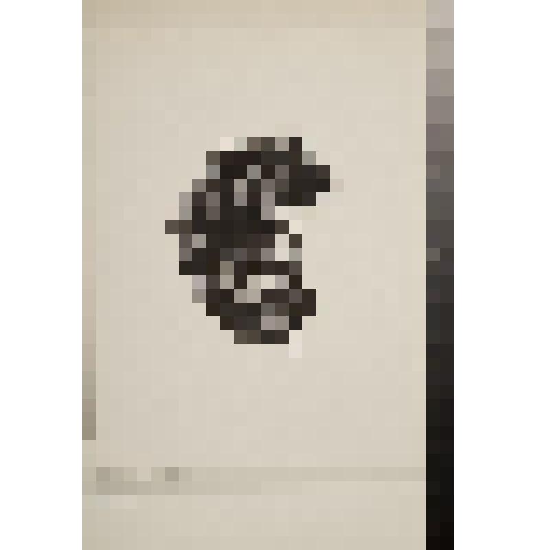 Книжный знак M. Bielen. Экслибрис