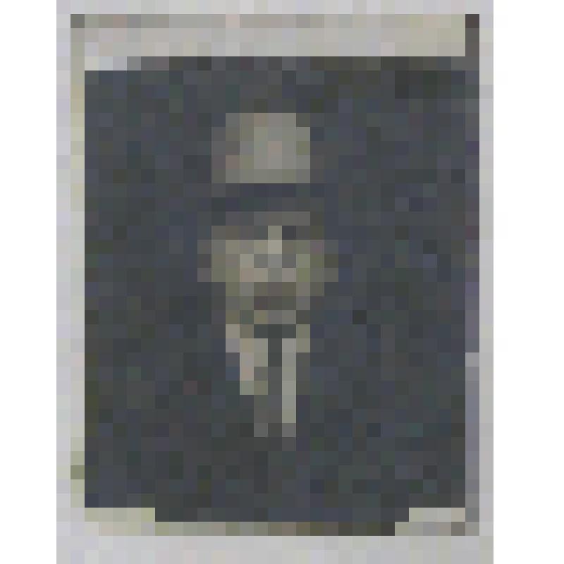 Приложение к письму Стапановой А.И. - фотография Топоркова В.О