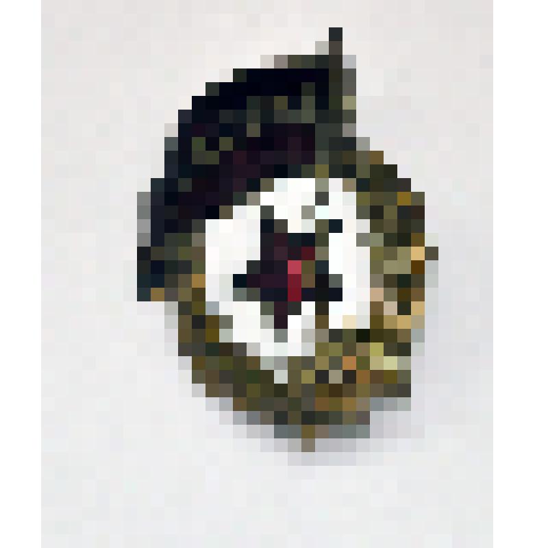 Знак нагрудный "Гвардия". Курылёва Н.И, ветерана Великой Отечественной войны