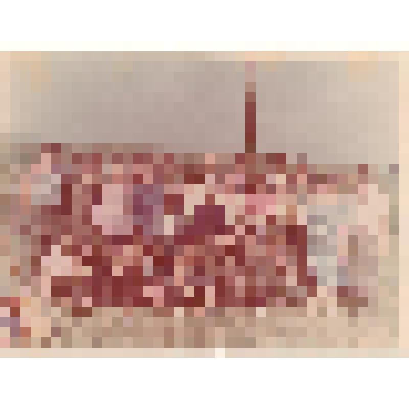 Фотография "Вахта Памяти 1990-1991 г."