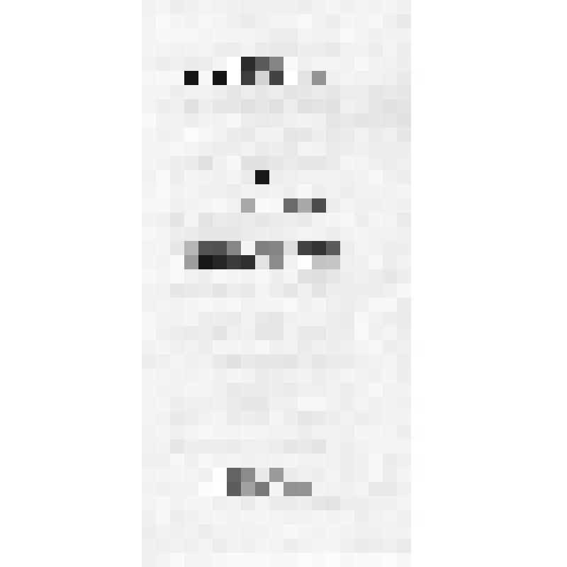 Программа. Х областной смотр любительских фильмов. 10-12 января 1980г