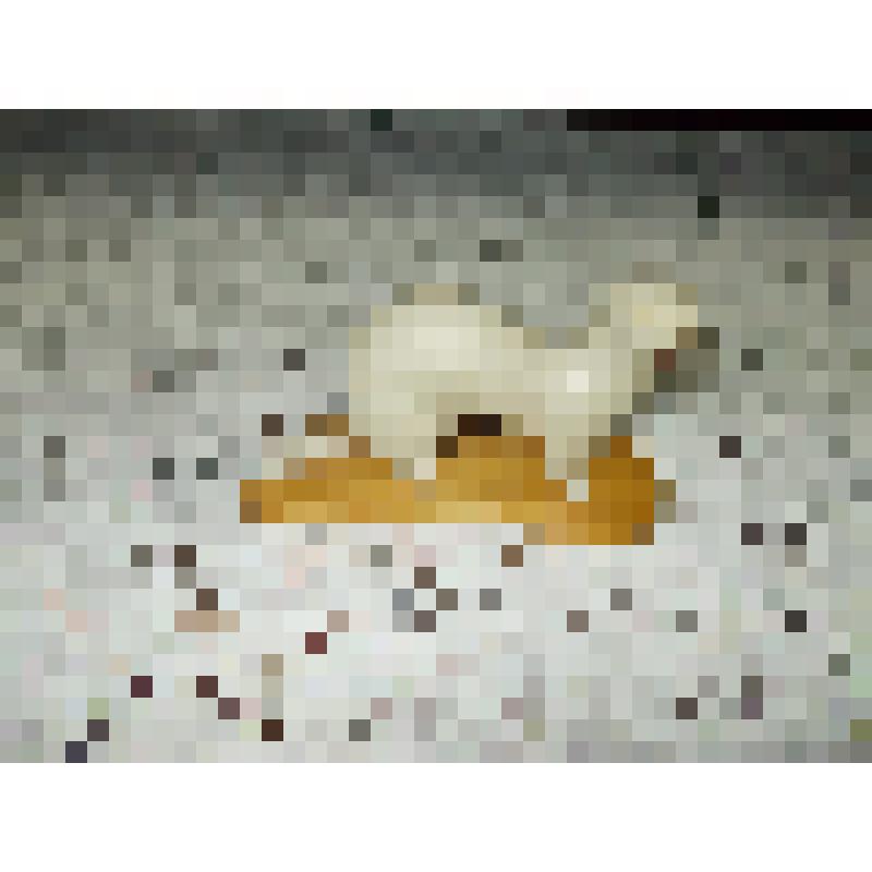 Фигурка резная - ласка из коллекции "Животные Урала"