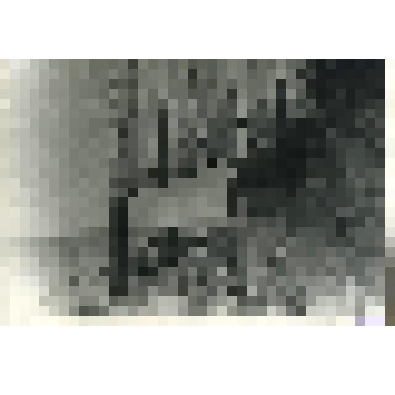 Фотография черно-белая. Череповецкий р-он. Село Городище. Размытый морем берег