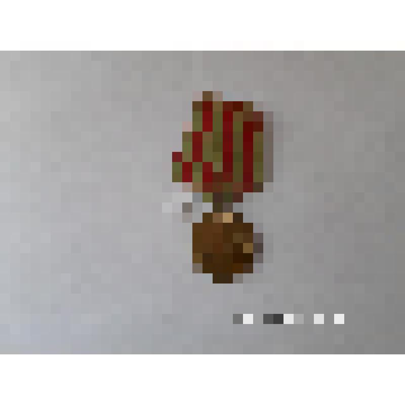 Медаль "За оборону Москвы"