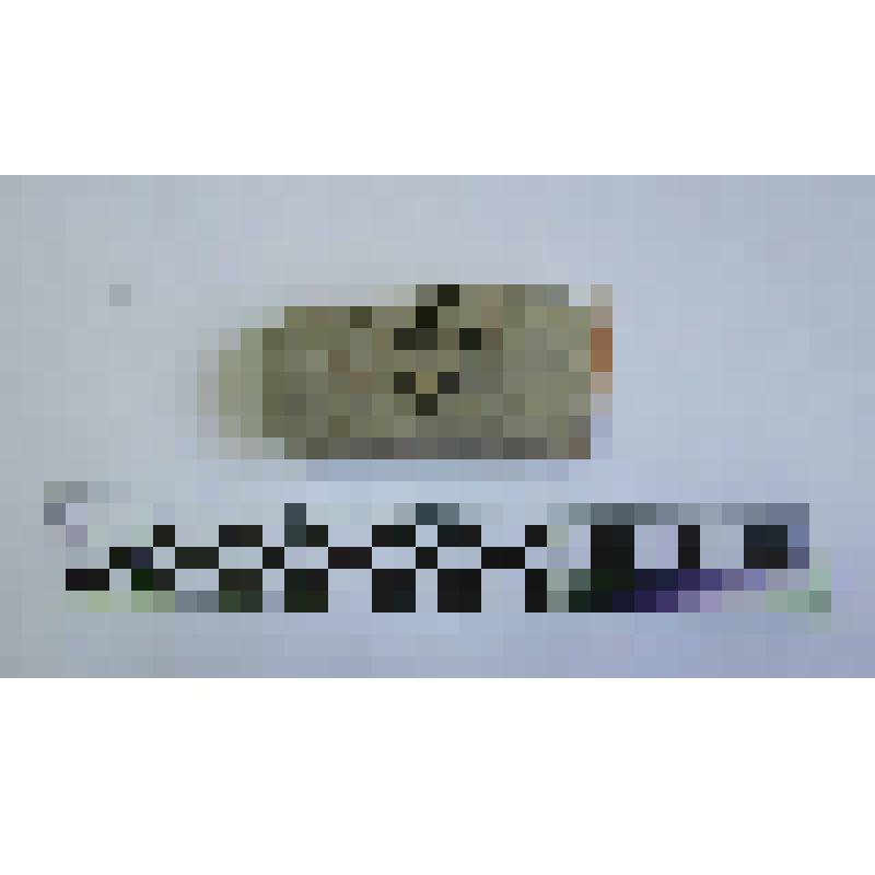 Ручка амфоры типа Зеест 72