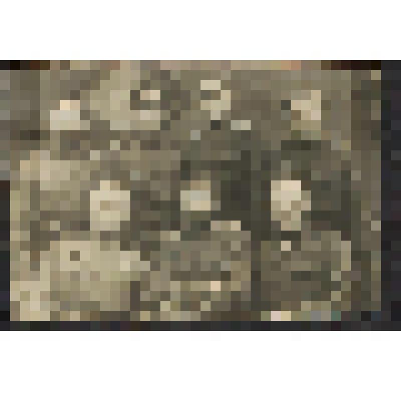 Фотография. Состав партийной комиссии при партотделе 7-ой пушечной артиллерийской бригады