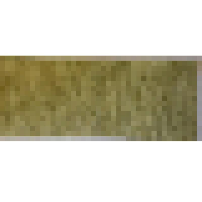 Государственный кредитный билет РСФСР образца 1 февраля 1919 года. Номинал 50 рублей