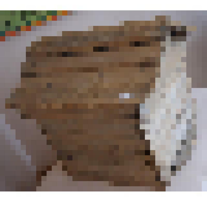 Улей пчелиный