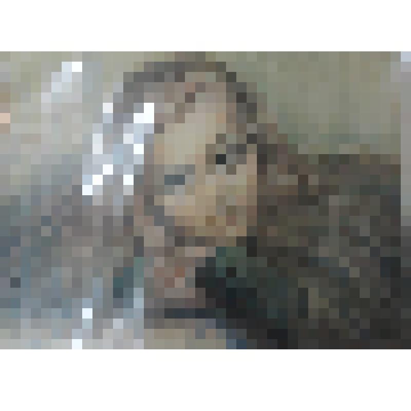 Картина "Портрет Алены Назаровой". Художник Конев Федор Степанович.Бумага,гуашь,пастель.1976г