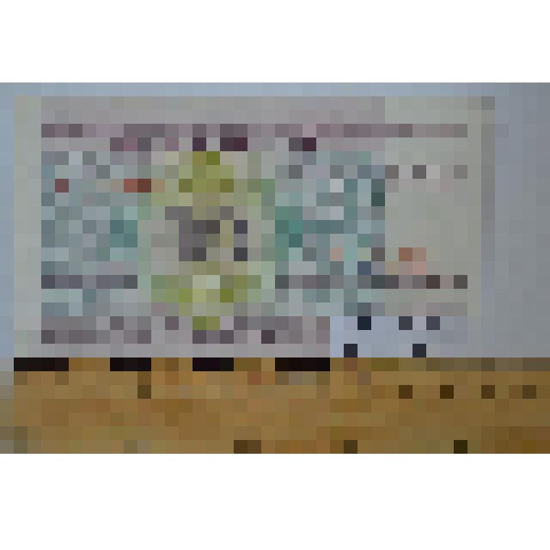 Бона 10 рублей, Беларусь