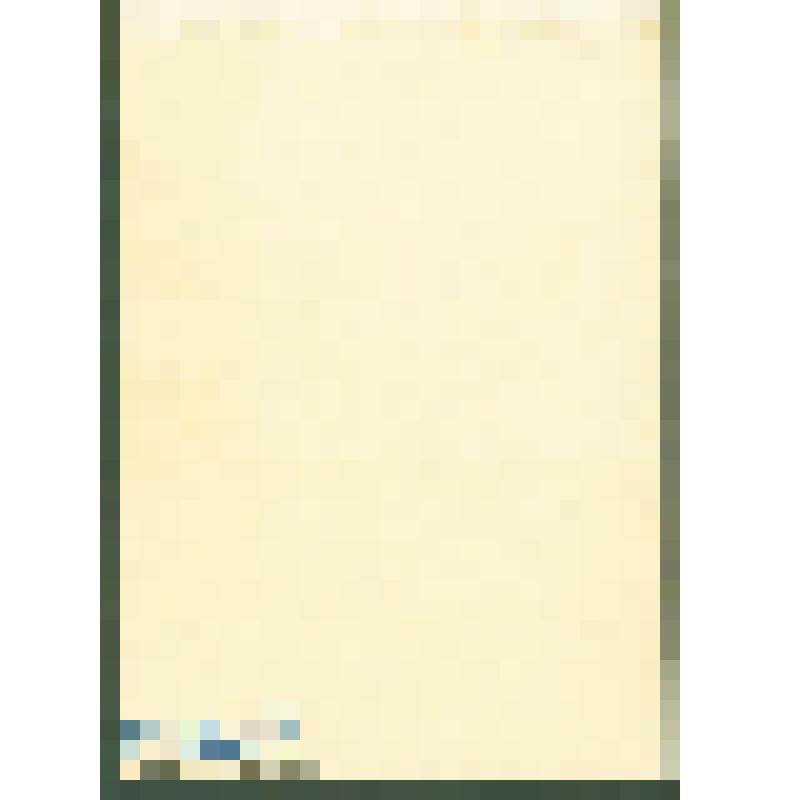 Фотография (двойной портрет) "Генерал-майор Ерошенко Петр Савельевич с супругой Марией Ивановной"