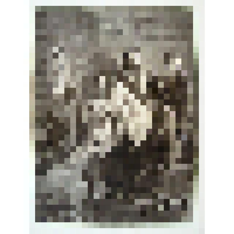 Плач невесты