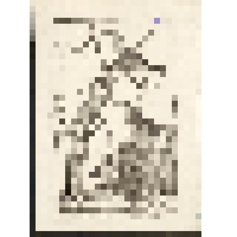 "Histoire Naturelle. Pl. X. Fig. 1. Toucan a Gorge blanshe de Cayenne. Fig. 2. Calao des moluques. Fig.3.Le Bec-en ciseaux. Fig.4.L'Avocette.  Antonio Baratti sc. Гравюра