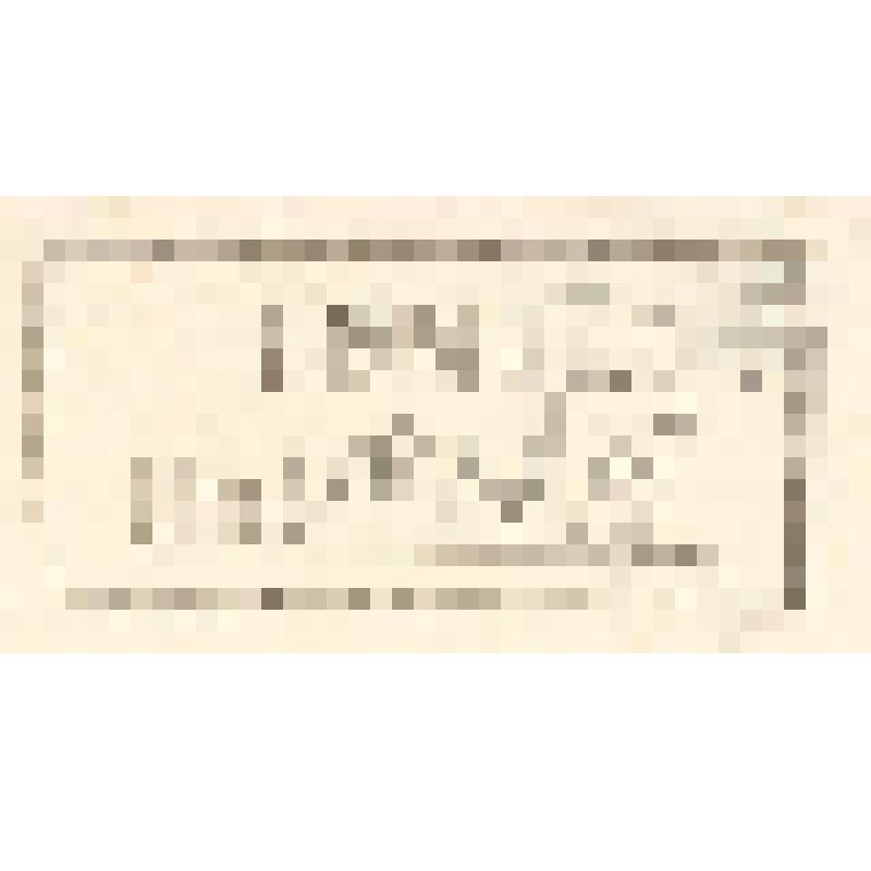 "Histoire Naturelle. Pl. X. Fig. 1. Toucan a Gorge blanshe de Cayenne. Fig. 2. Calao des moluques. Fig.3.Le Bec-en ciseaux. Fig.4.L'Avocette.  Antonio Baratti sc. Гравюра