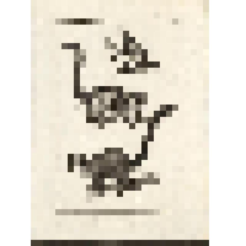 "Histoire Naturelle. Pl. X. Fig. 1. Le Vari. Fig. 2. Le Mongous. Fig.3. Le Lori. Antonio Baratti sc. Гравюра