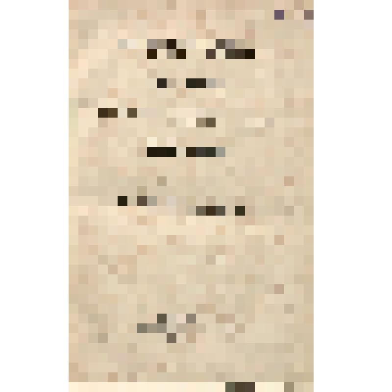 Книга. Преподобного отца нашего Иоанна, игумена Синайской горы Лествица и слово к пастырю