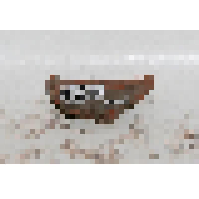 Изразец (фрагмент) угловой рельефный полихромный