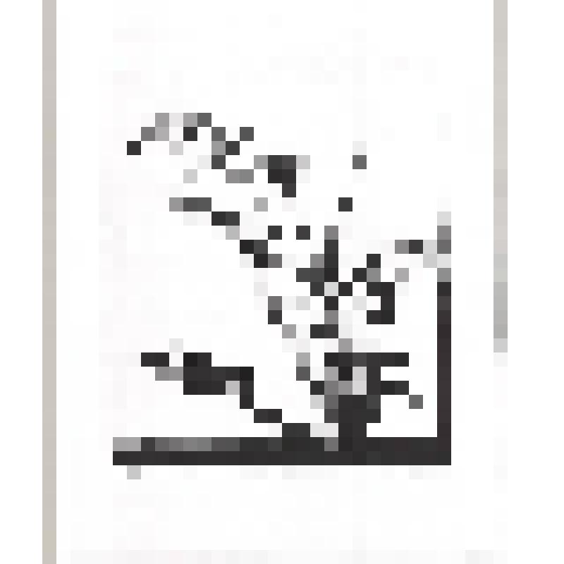 Одуванчики