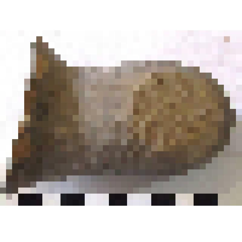 Клеймо на ручке родосской амфоры