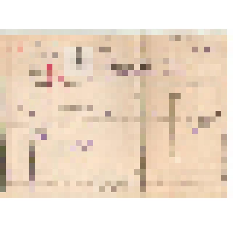 Материалы на Федорова Константина Ивановича. Документ. Аттестационный лист на присвоение звания  мл. лейтенант от 19.04.40г